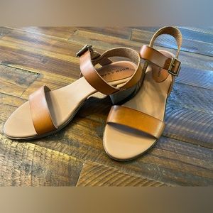 Rock & Candy Women’s Size 7 Ninah